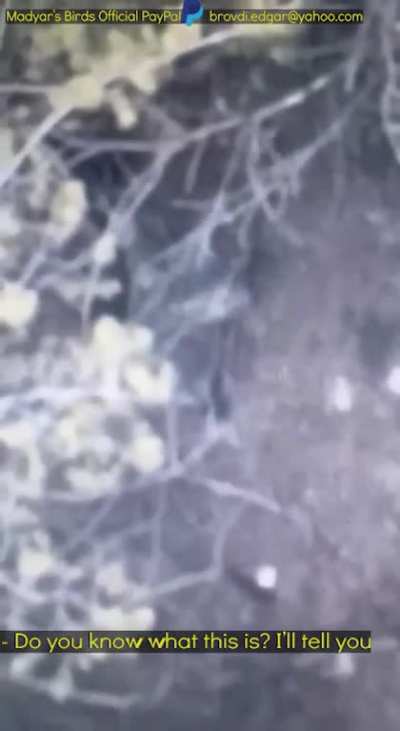 Madyar - UA drone recon. Hunting down a sniper that is observing Madyar's position. 28 Jan (posted 29th). PART 1. Subtitled
