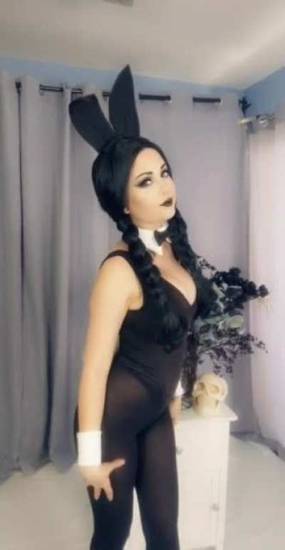 Bunny Wednesday (Instagram Stories)