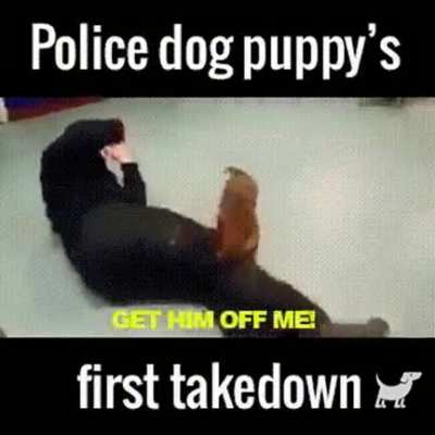 HMK while I practice my takedowns