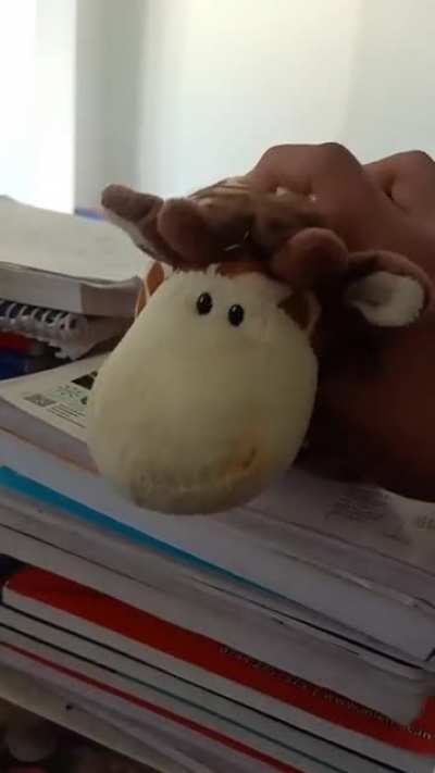 The cow just wanted to talk