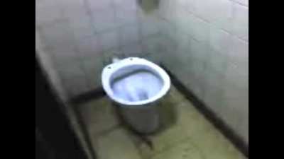 Here’s the talking toilet