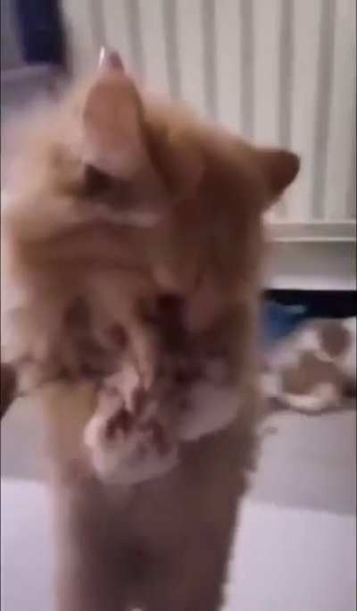 NOOOOOO
