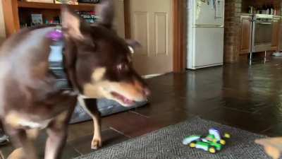 Luigi too powerful. Calling for back up.