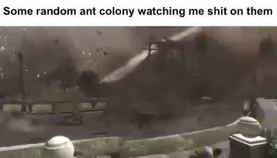 They had it coming
