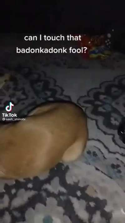 Badonkadonk