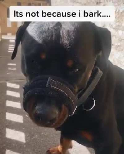 Poor thing :'(
