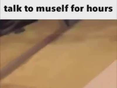 silly cars
