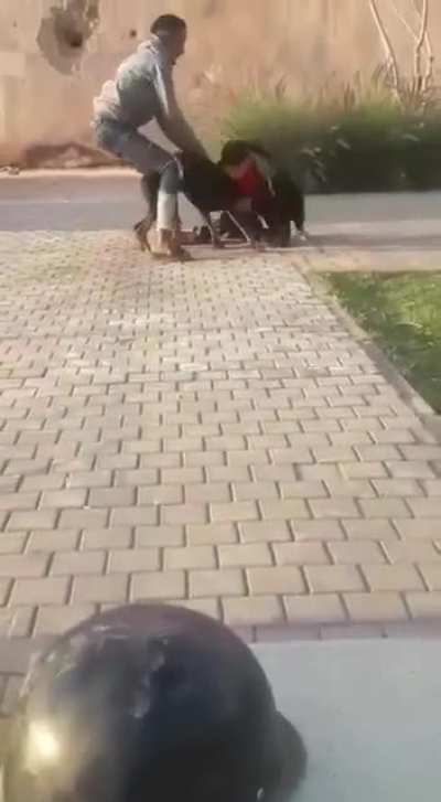 Animal instinct kicks into overdrive after the dog is attacked without provocation
