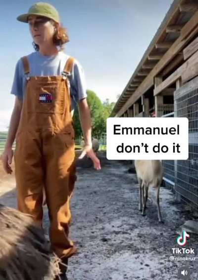 Emmanuel just wanted to be in the video 🥺