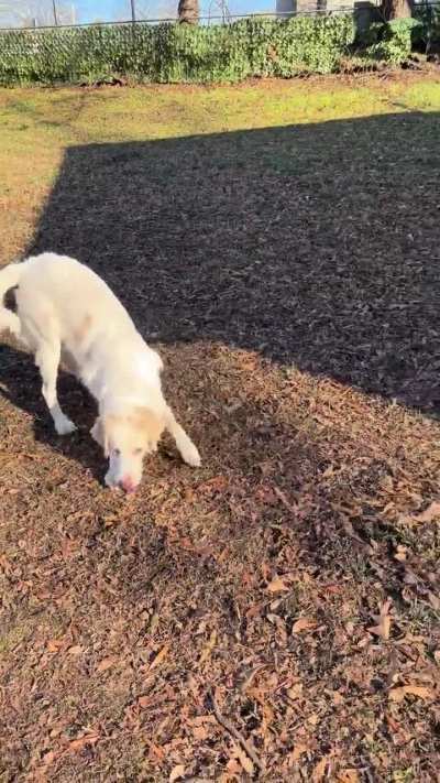 Willa isn’t the most coordinated but she still has fun