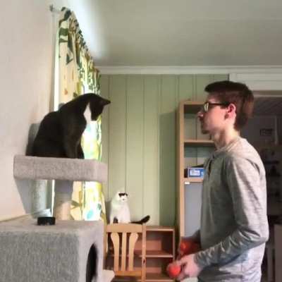 Jugglin' taps