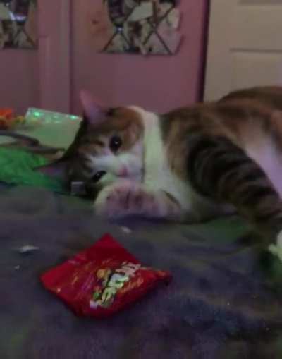 My Skittles