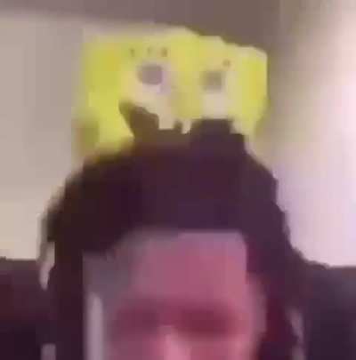 spongob