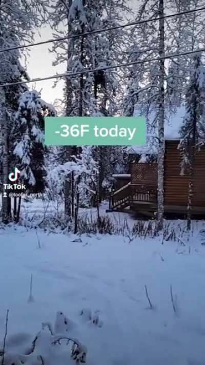It's too cold out