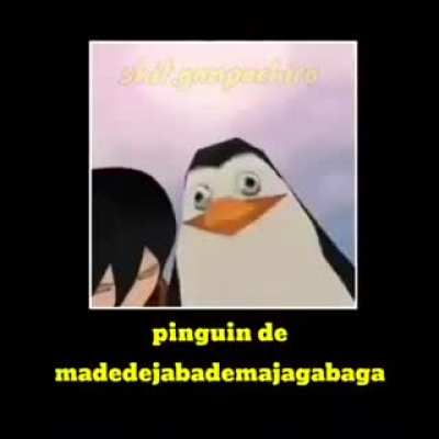Pinguin de madedejabademajagabaga