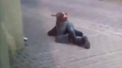 Хозяин! Я тебя так люблю!