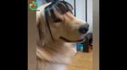 Nice fringe.
