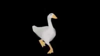 Duck