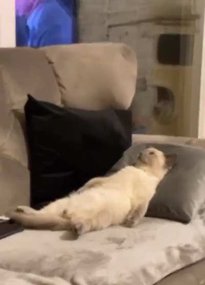 After a long day at work..
