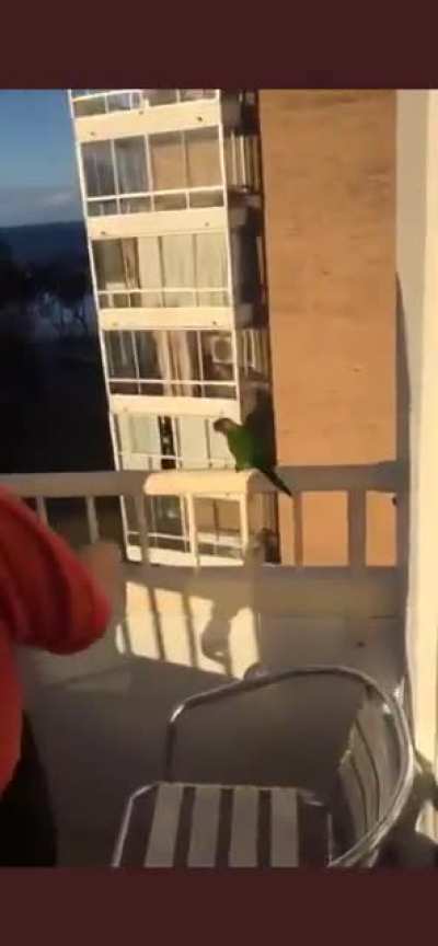 the way he dipped out