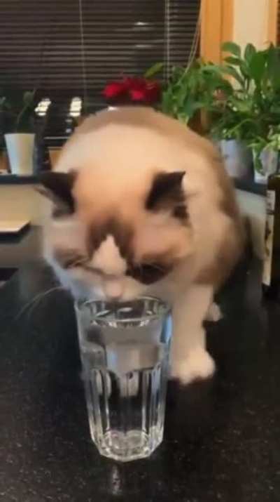 the water dance