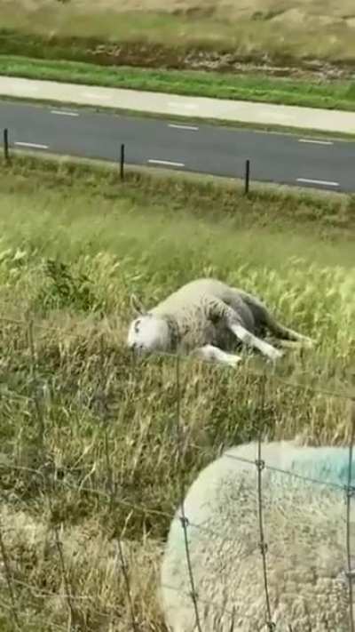 When you're hungry and sleepy