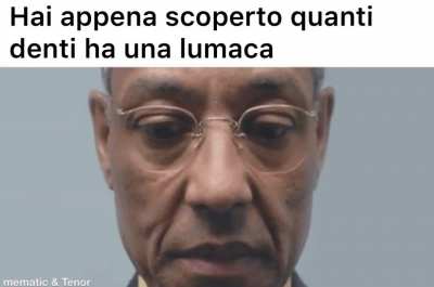 Assurdo