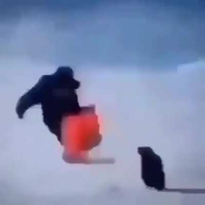 Penguim