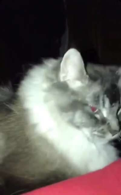 gräb dä cät