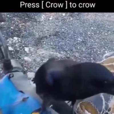 oooo