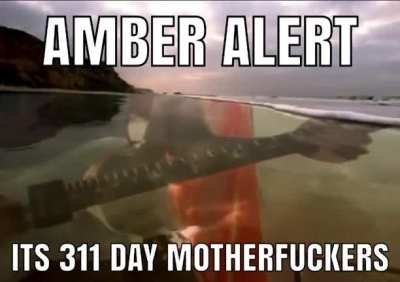 311