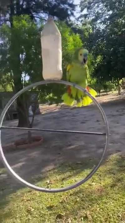 Arranca un porro..!