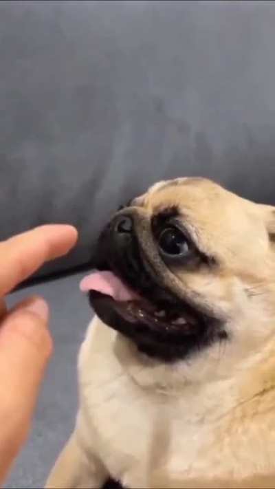 MaN ReCoRdS Final MoMeNtS As He's AtTackEd by ApEx PrEdAtoR