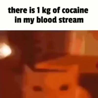 yay
