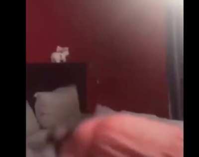…