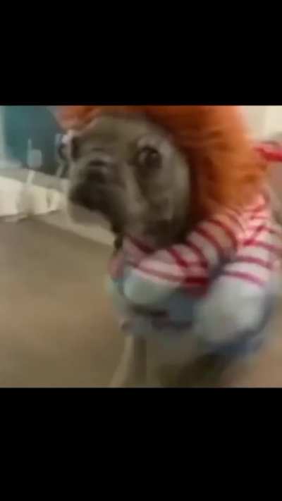 Están muertos 👹!