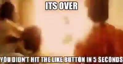 AAAA