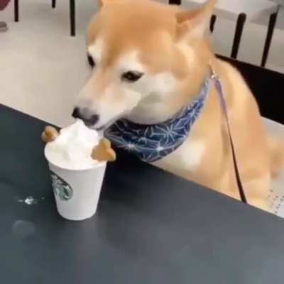 ñom