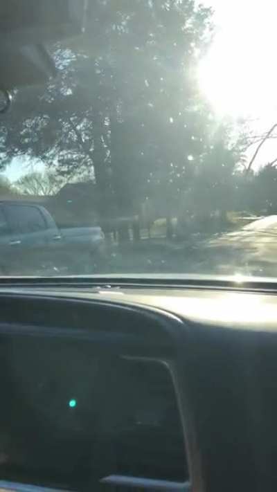 [OC] Car Horn prank on the Wife April Fool’s 2022.