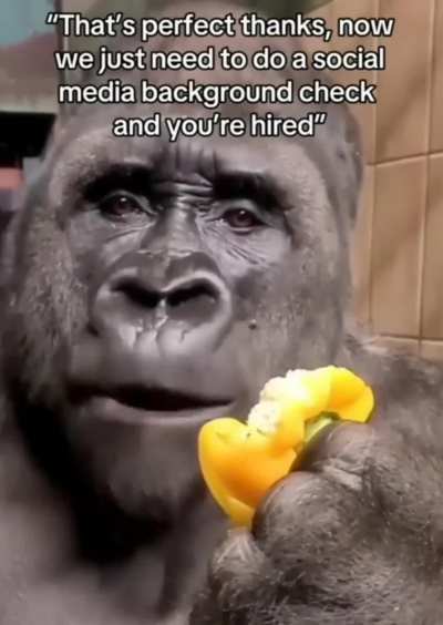 Background check
