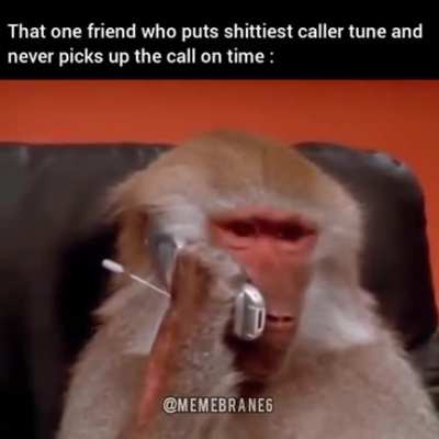 Good Morning! Do you get vexed with those too? Oh the songs I have heard, can't un-hear some of them. Share some of your worst tunes.