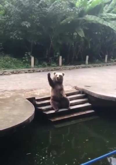 Wave and catching !!
