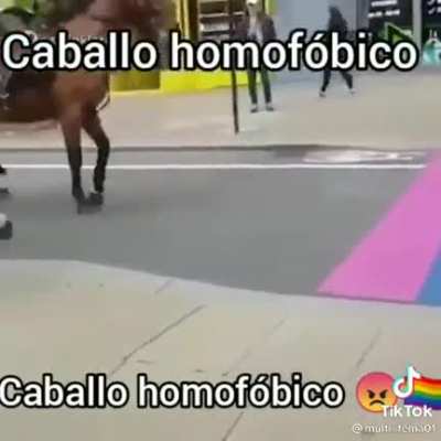 Homophobic horse