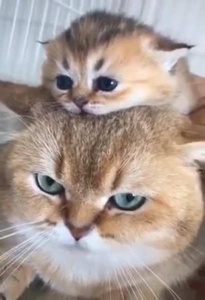 The beginning of fatherhood