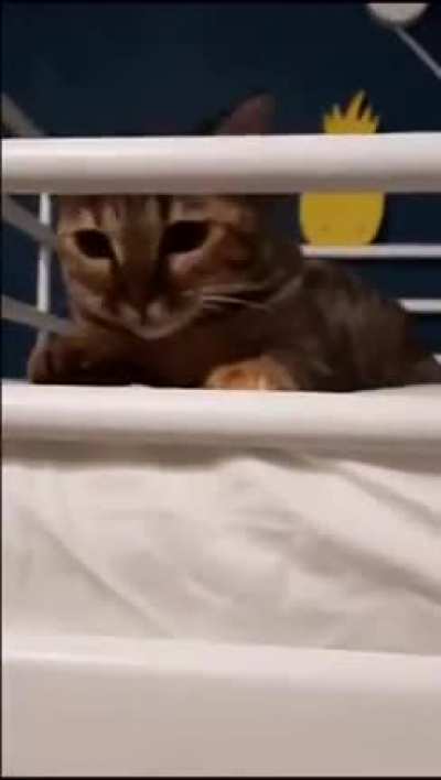 Maybe Maybe Maybe