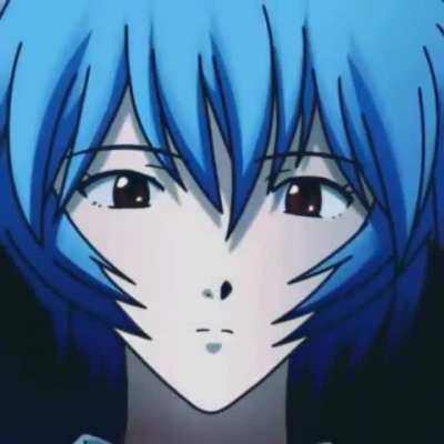 Rei sus