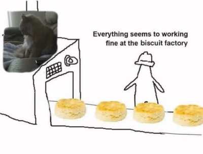 Biscuit production at an all-time high thanks to Orange Boy™
