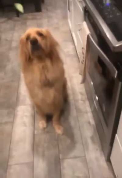 WTF is that, mom?