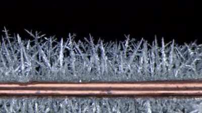 Copper + Silver Nitrate → Copper(II) Nitrate + Silver ------ Microscopic timelapse