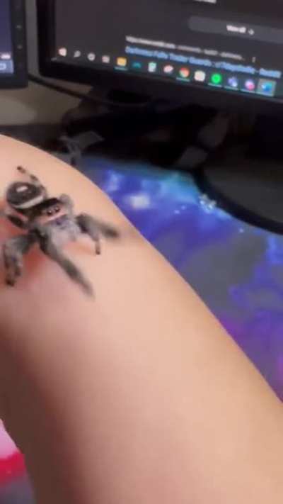This reminds me of a certain someone